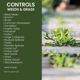 Natria 706500A Grass & Weed Control with Root Kill Herbicide Weed Killer, 32-Ounce, Concentrate