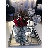 Le'raze Beautiful Stainless Steel Mirrored Tray with Side Rails, Elegant Square Vanity Mirror Tray with Side Bars, Makes A Great Bling Gift 16 Inch