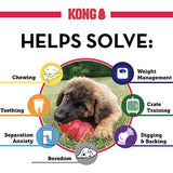 KONG - Classic Dog Toy, Durable Natural Rubber- Fun to Chew, Chase and Fetch - for Medium Dogs