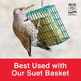 C&S Berry Suet Treat, Wild Bird Food 11.75 Ounces, 12 Pack, (CS12527)