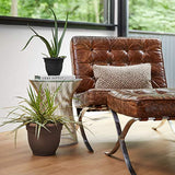 Fiskars 10 Inch Ariana Planter with Self-Watering Grid, Chocolate