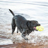 KONG - AirDog Squeaker Football - Squeaky Bounce and Fetch Toy, Tennis Ball Material - For Medium Dogs