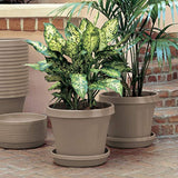 Bloem Terra Pot Planter (TR0683), Pebble Stone, 6", 6"