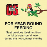 C&S 100214386 EZ Fill Suet Basket, 8 Ounces, Green