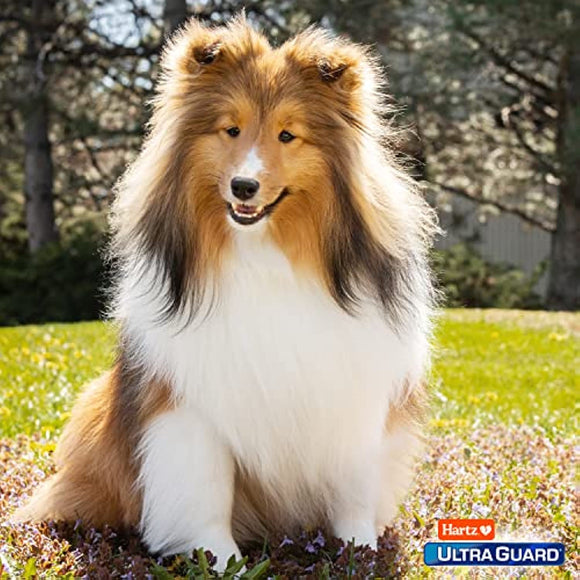 Hartz UltraGuard Dual Action Topical Flea & Tick Treatment for Dogs and Puppies - 31-60lbs, 3 Monthly Treatments