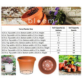 Bloem Terrapot 5.5 in. H x 6 in. Dia. Resin Traditional Terracotta Clay Planter