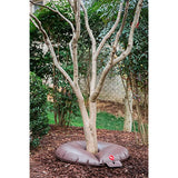 Treegator Jr. Pro Slow Release Watering Bag for Trees and Shrubs
