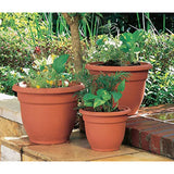 Bloem 20-56106 Fiskars Ariana with Self-Watering Grid, 6", Terra Cotta