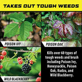 Ortho GroundClear Poison Ivy and Tough Brush Killer1 - Concentrate, Makes 8 Gallons, Kills Poison Ivy, Poison Oak, Kudzu & Wild Blackberry, Kills to the Root, 32 fl. oz.