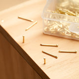 Qualihome Hardware Nail Assortment Kit, Includes Finish, Wire, Common, Brad and Picture Hanging Nails (Brass Plated)