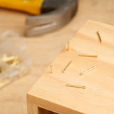 Qualihome Hardware Nail Assortment Kit, Includes Finish, Wire, Common, Brad and Picture Hanging Nails (Brass Plated)