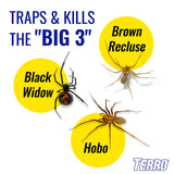 Terro T3206 Spider & Insect Trap, 4 Count (Pack of 1)