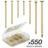 Qualihome Hardware Nail Assortment Kit, Includes Finish, Wire, Common, Brad and Picture Hanging Nails (Brass Plated)