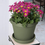 Bloem Terra Pot Planter 8" Living Green