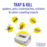 Terro T3206 Spider & Insect Trap, 4 Count (Pack of 1)