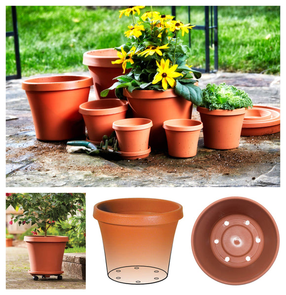 Bloem Terra Pot Planter 8