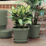 Bloem Terra Pot Planter 8" Living Green