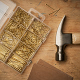 Qualihome Hardware Nail Assortment Kit, Includes Finish, Wire, Common, Brad and Picture Hanging Nails (Brass Plated)